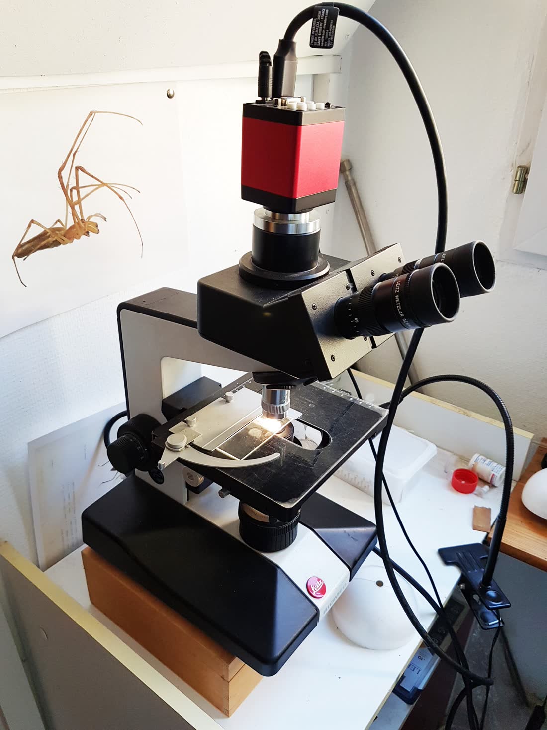 Microscope Leitz Biomed équipé d'une caméra