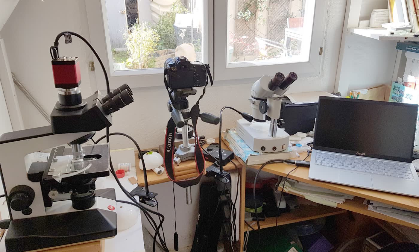 Poste de macrophotographie avec loupe binoculaire et microscope à contraste de phase